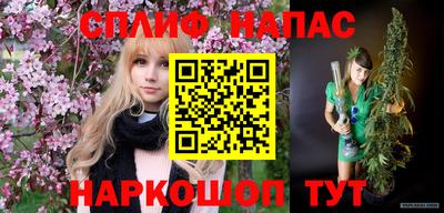 гидра Можга