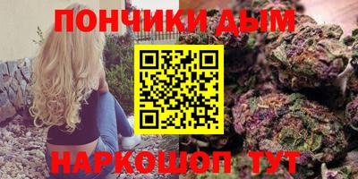 гидра Можга