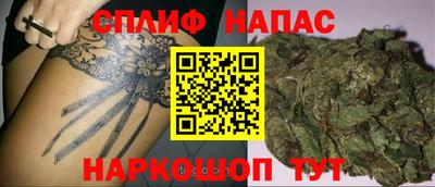 гидра Можга